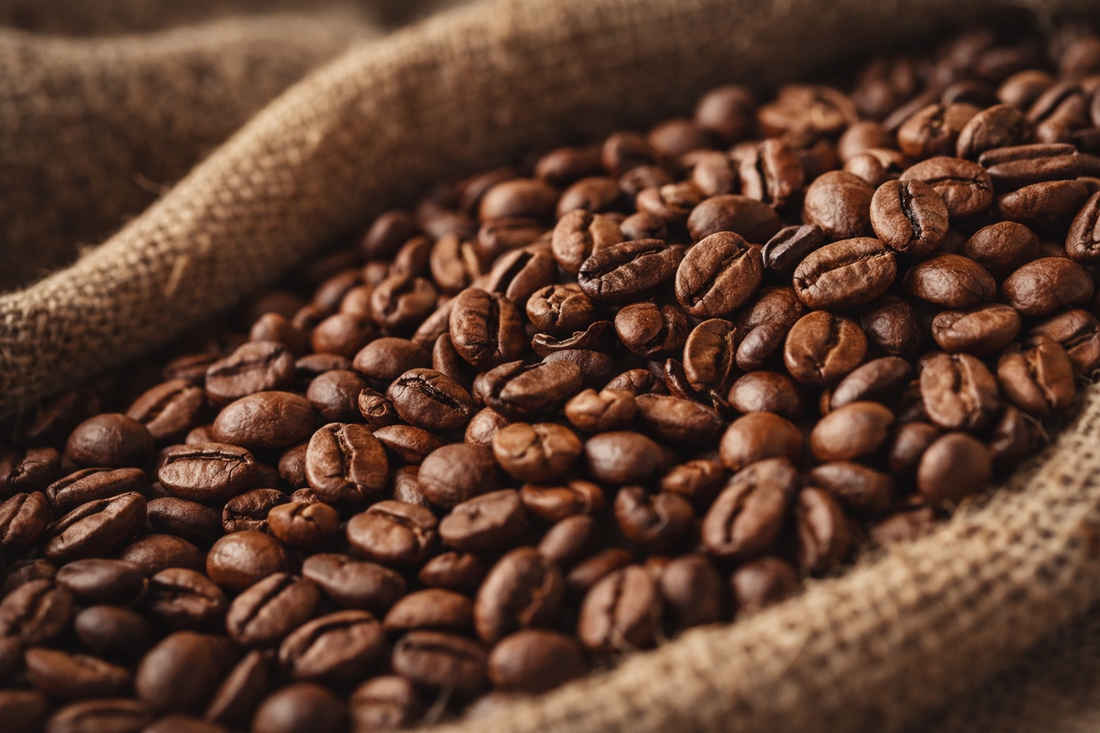 Comment reconnaître un vrai café de spécialité ?