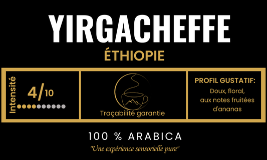 Café de spécialité Yirgacheffe d'Éthiopie