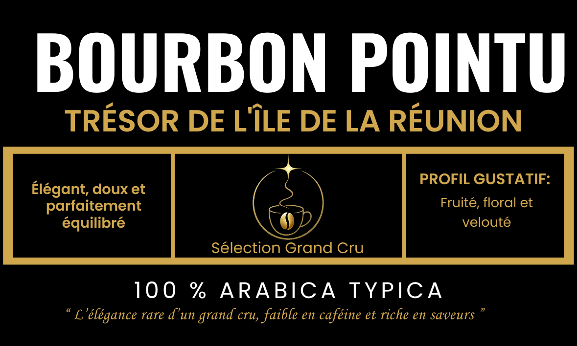 Pack Découverte - 3 Grands Crus Pure Origine