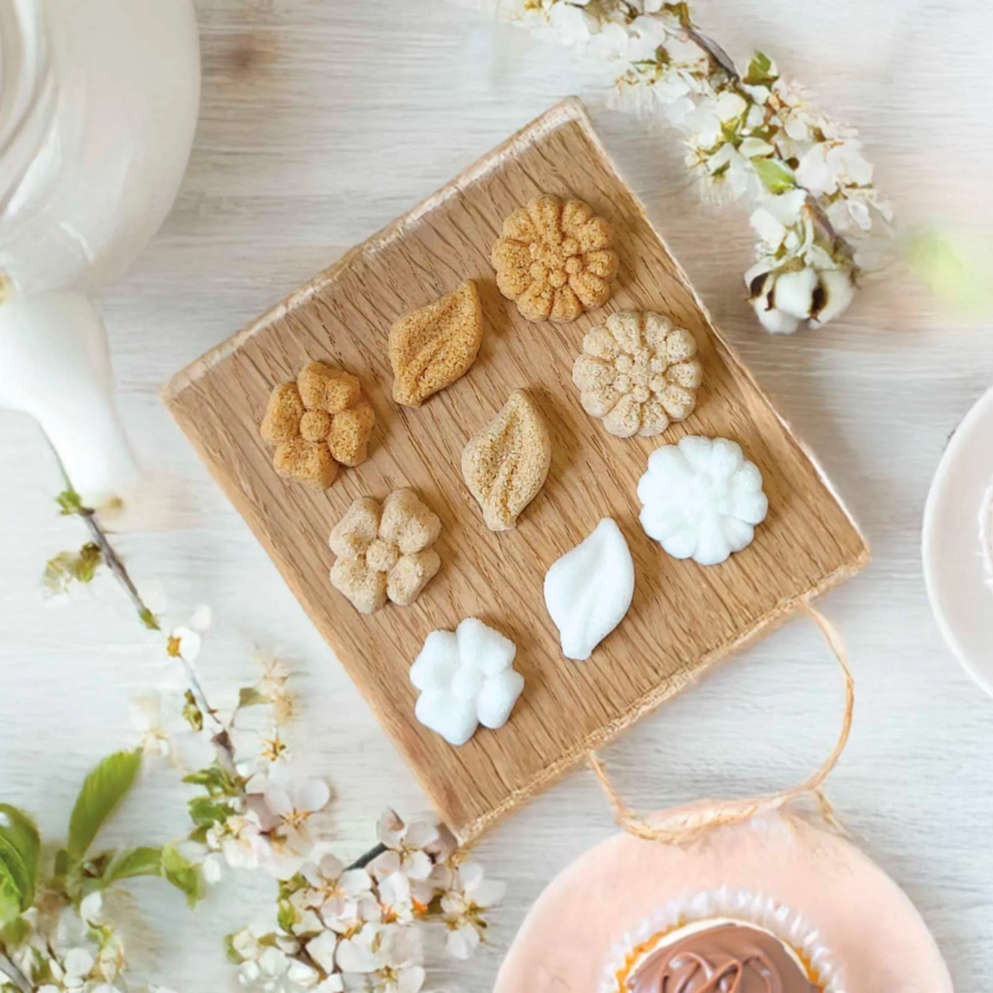 sucres de canne petite fleur petite feuille